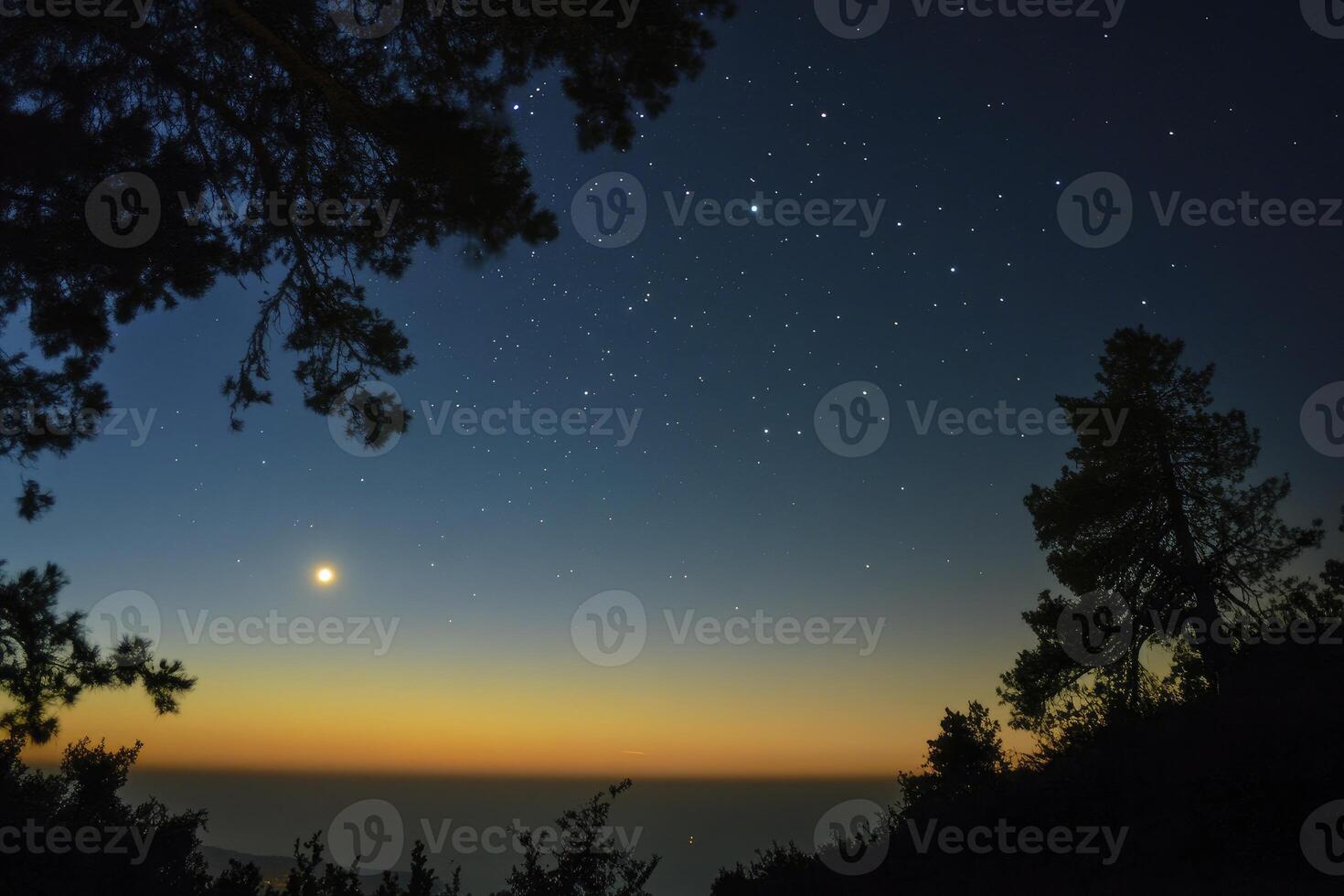 Observing Night Sky with Stars, Moon and Tree Silhouettes in Nature photo