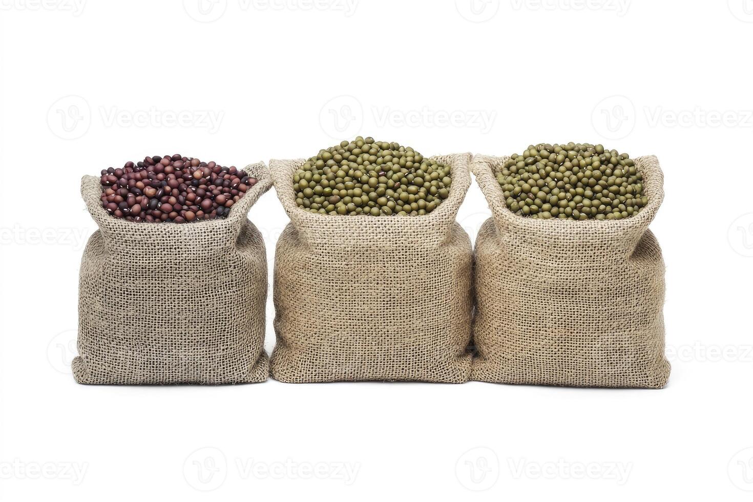 Three Bags Filled with Different Dry Beans on a White Background photo