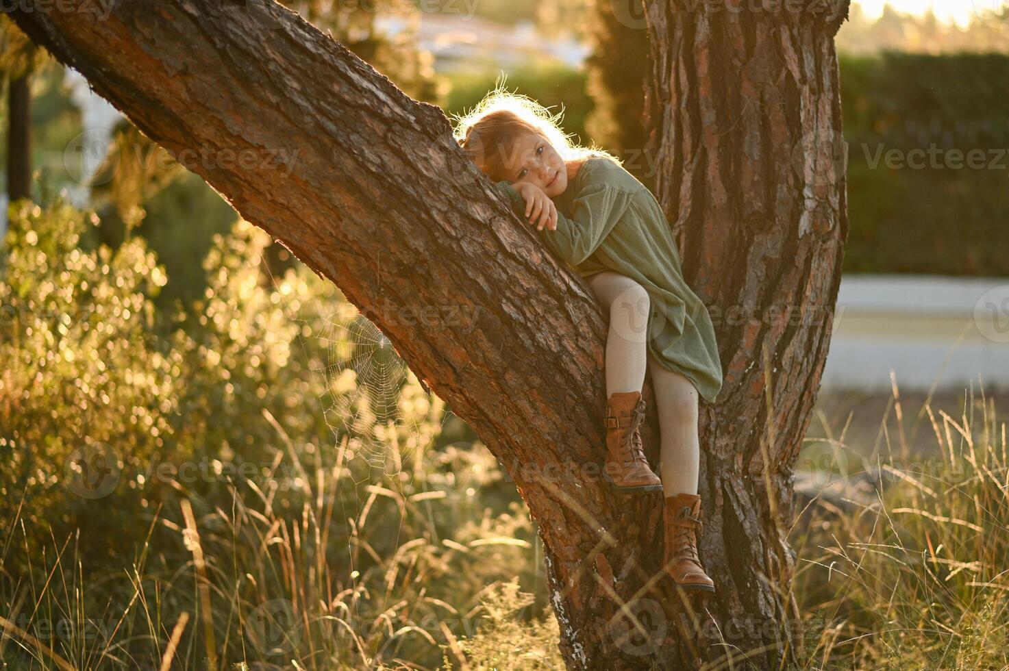 At dawn in the countryside, a young girl climbs a sturdy tree and rests on its thick branch. Wrapped in the soft morning glow, , enjoying the start of the day as the golden light filters t photo
