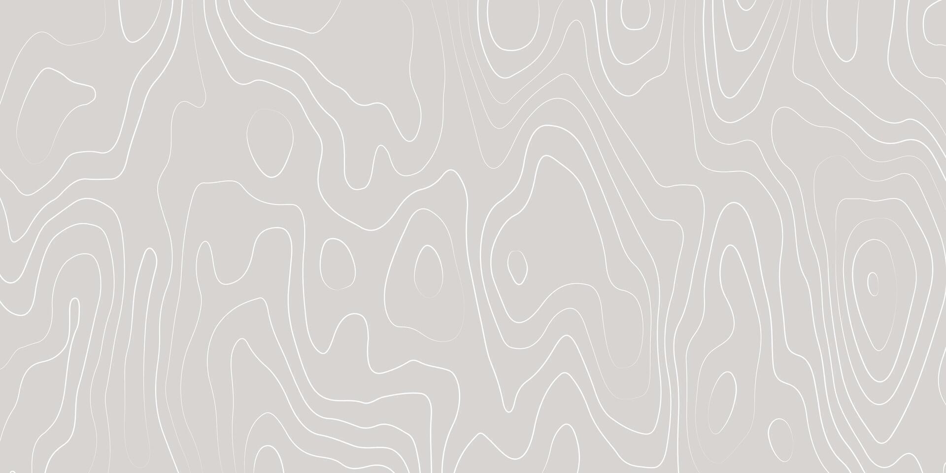 Abstract Topographic Map Background. Minimalist Contour Line Design in Soft Gray vector