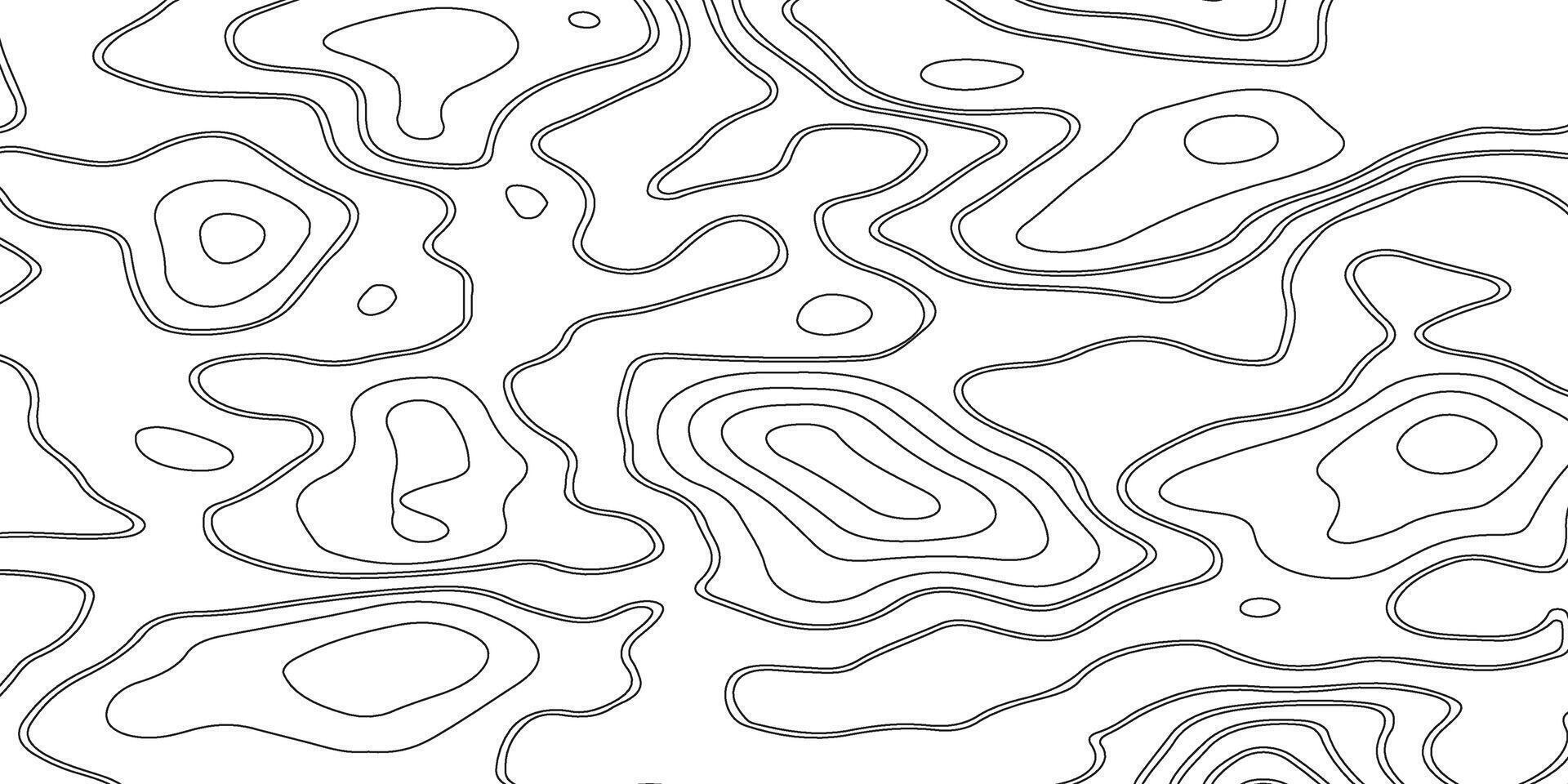 Abstract Topographic Line Pattern. Minimal Contour Map Background Design vector