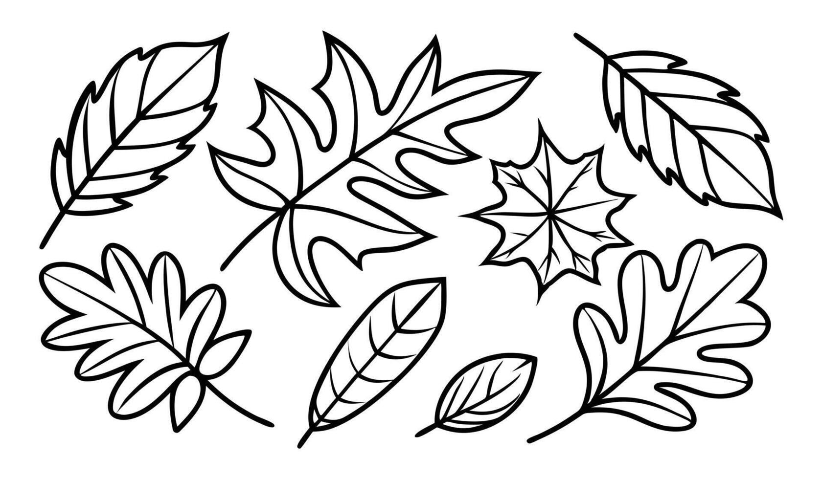 Hand drawn different autumn leaves outline vector