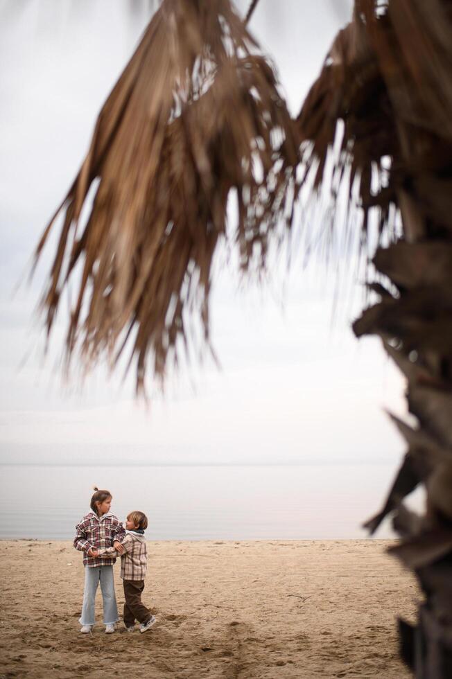 Kids in checkered shirts play on a windy fall shoreline. photo