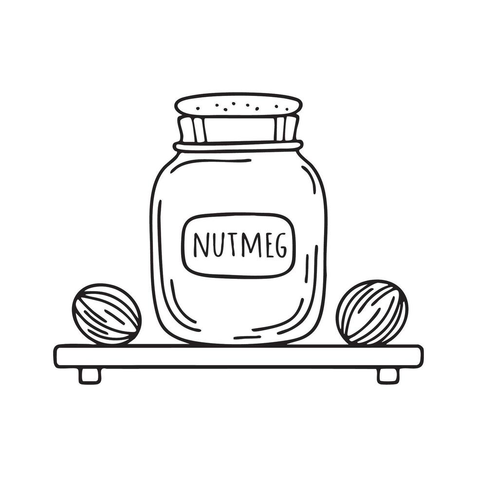 A glass jar labeled Nutmeg on a spice rack vector