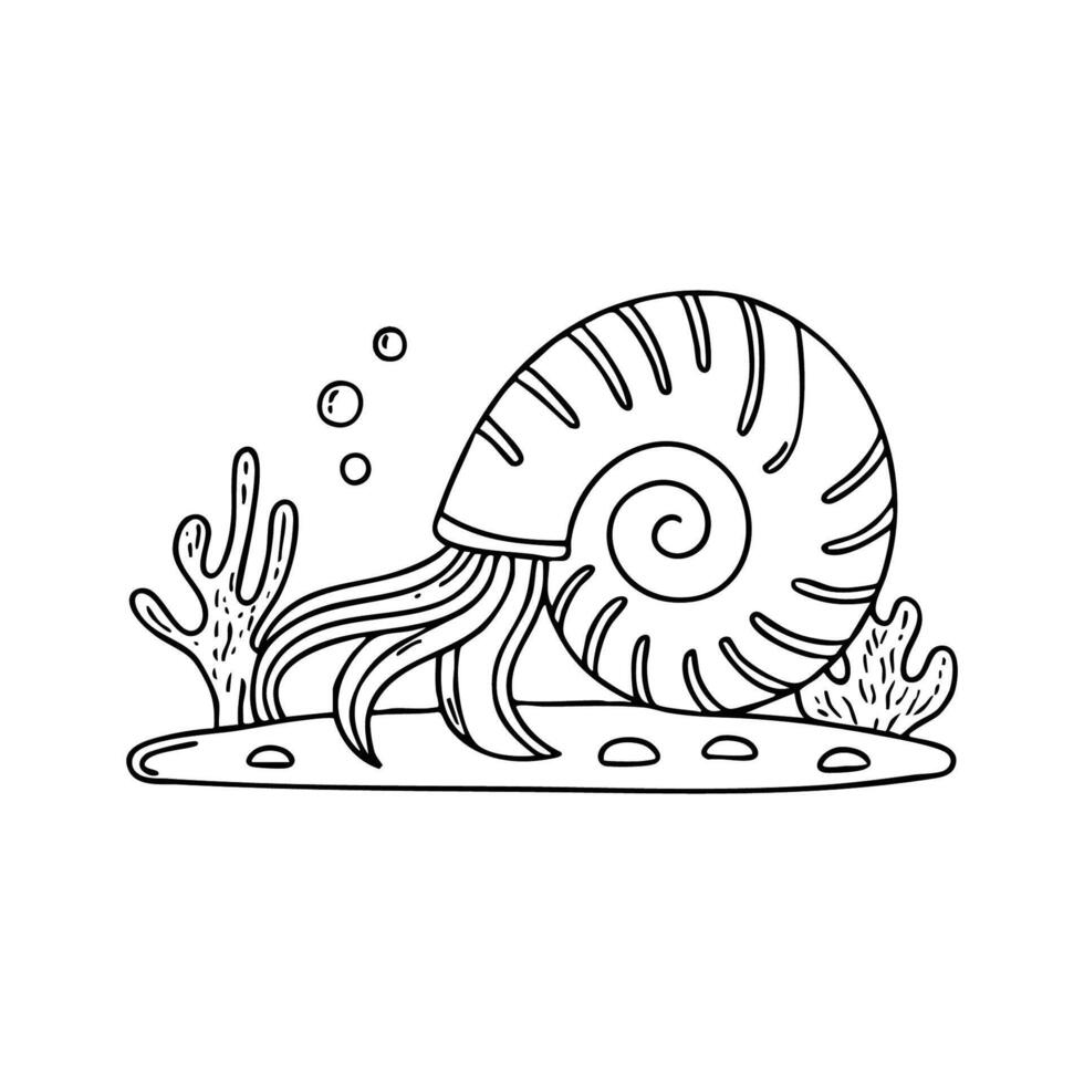 Nautilus exploring a rocky seabed with delicate tentacles extended vector