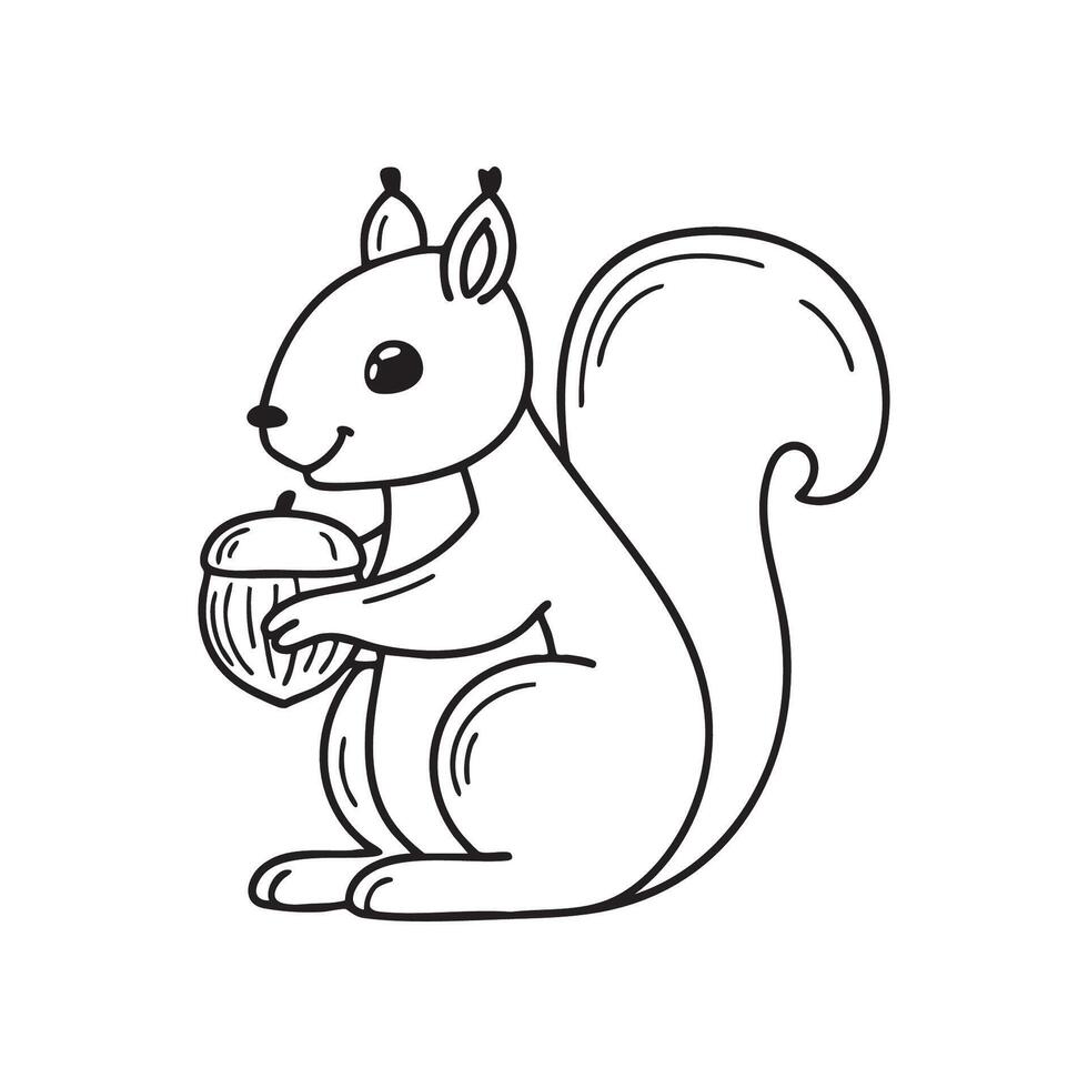 A squirrel holding a nut in its paws vector