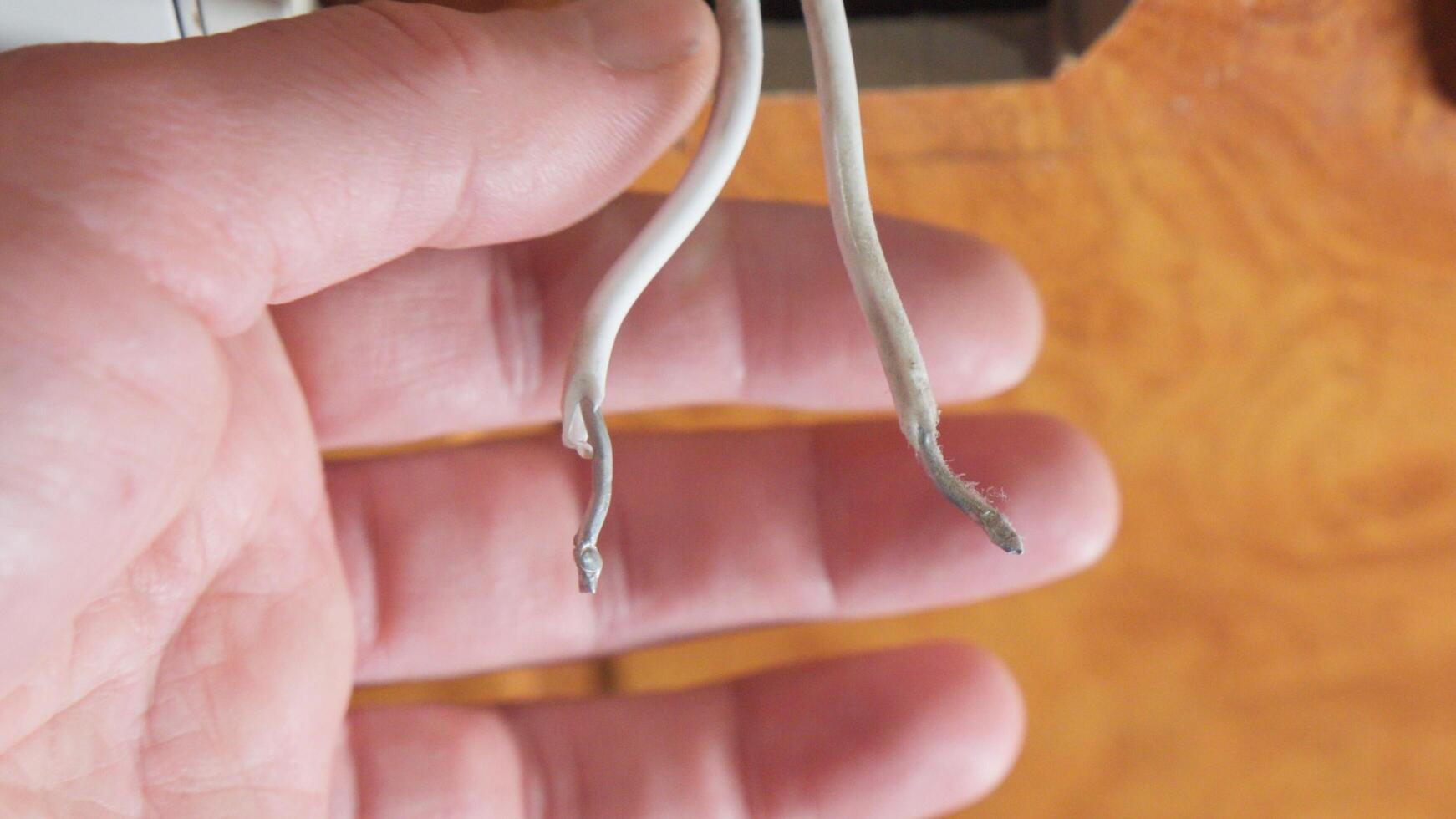 Damaged electrical wires with exposed sections are being held in hand. One wire shows noticeable wear, posing a safety hazard. photo