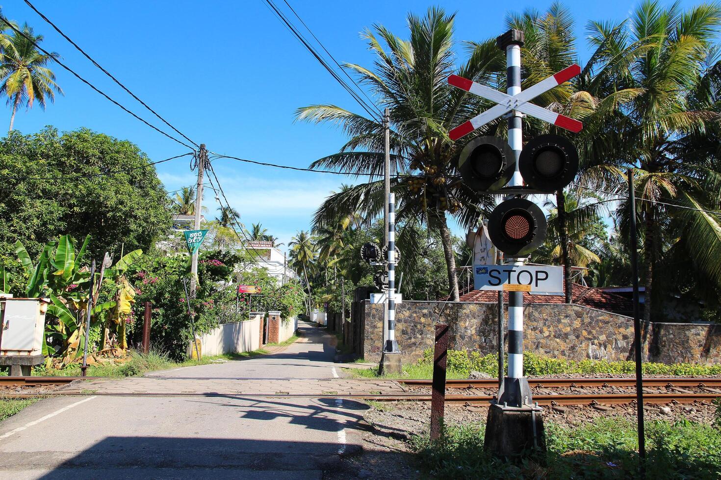 Unawatuna, Sri Lanka - January 12, 2025. A level crossing in a tropical setting with a stop sign and signal lights. Lush greenery and palm trees line the road leading to a small village. photo
