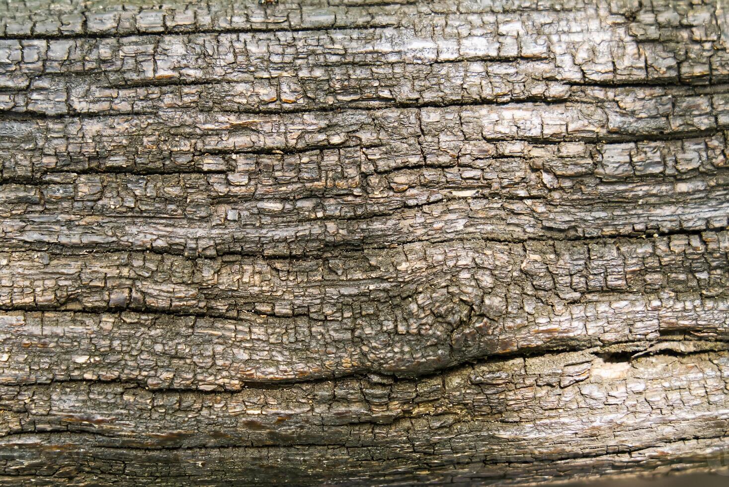 This high-resolution image features a weathered wood texture with unique grain patterns, natural cracks, and splits. Ideal for adding a rustic touch to design projects with warm, earthy tones. photo