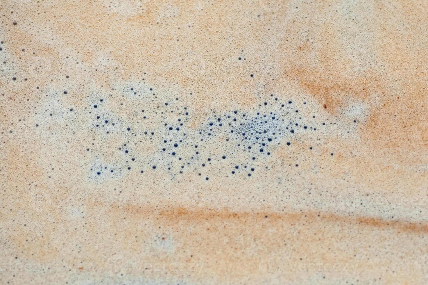 A white background with a brown swirl of foam photo
