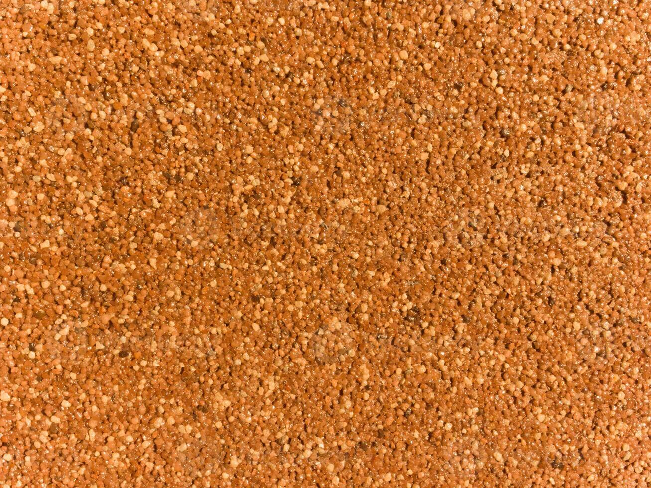 A close up of a brown surface with many small dots photo