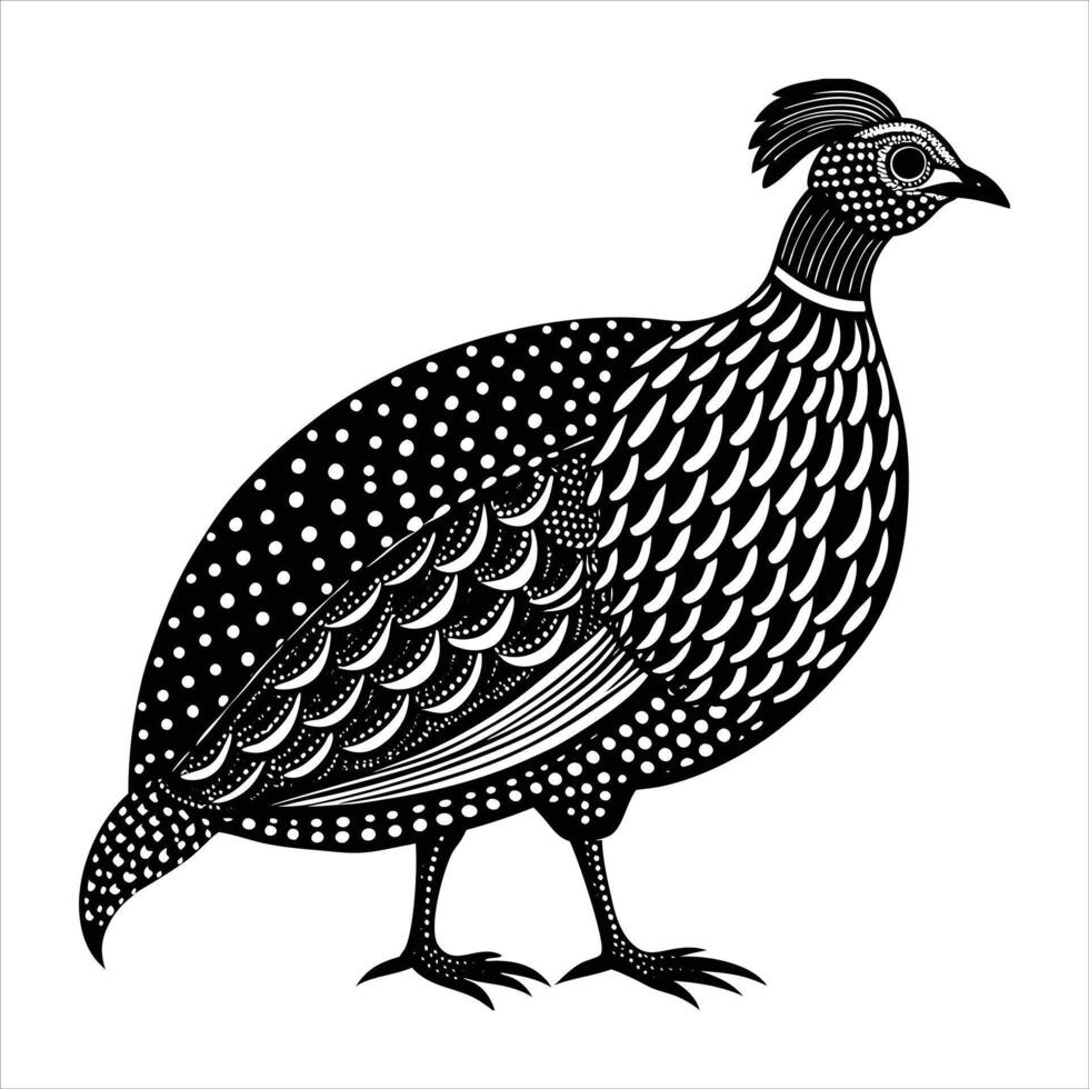 Guinea Fowl White Background vector