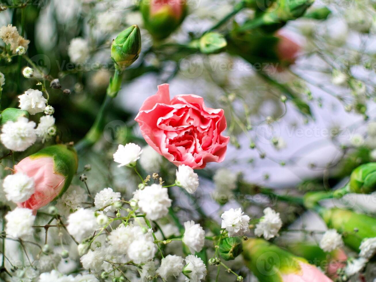A bouquet of pink flowers with white flowers in the background photo