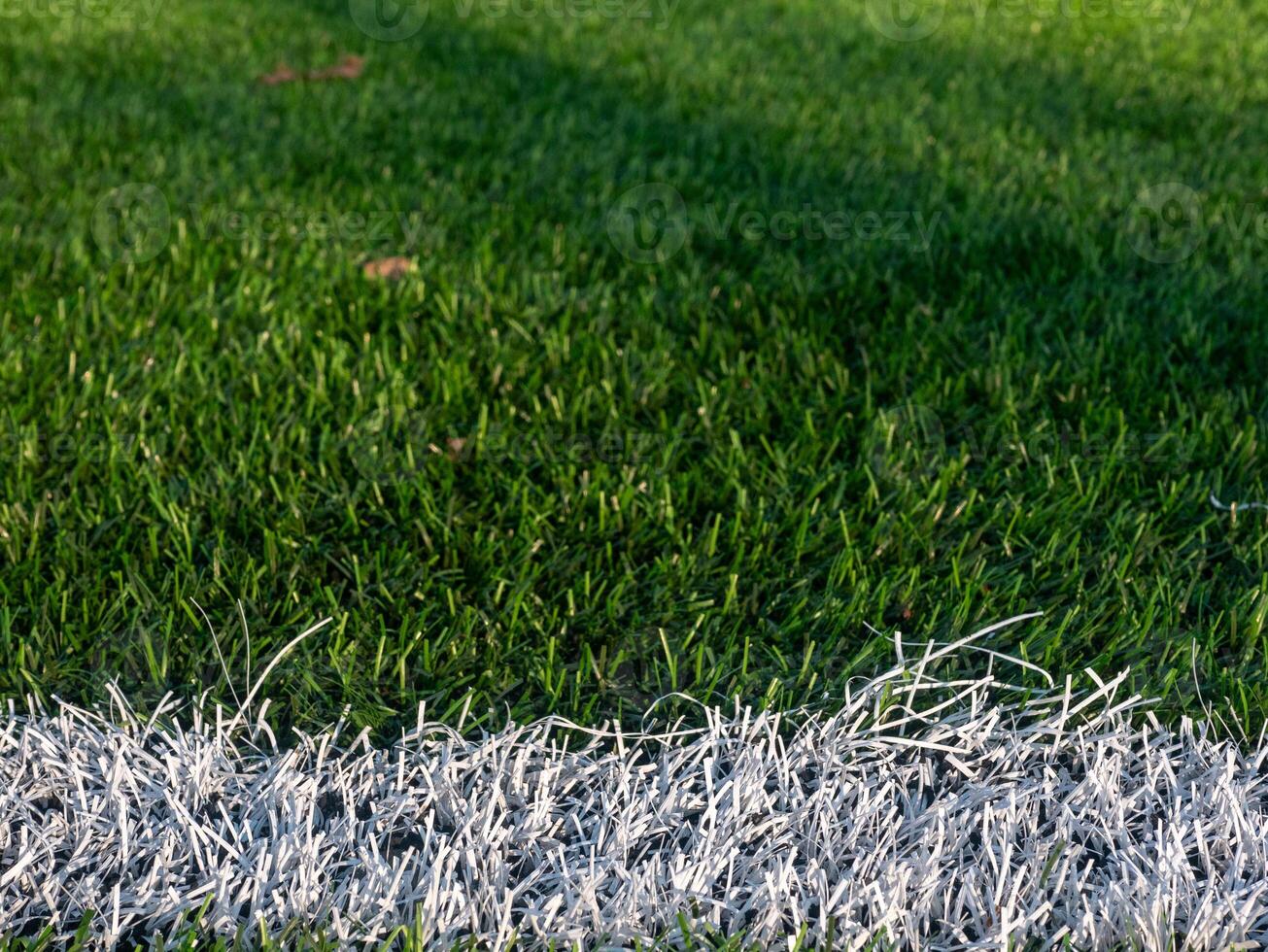 A white line is on the grass photo