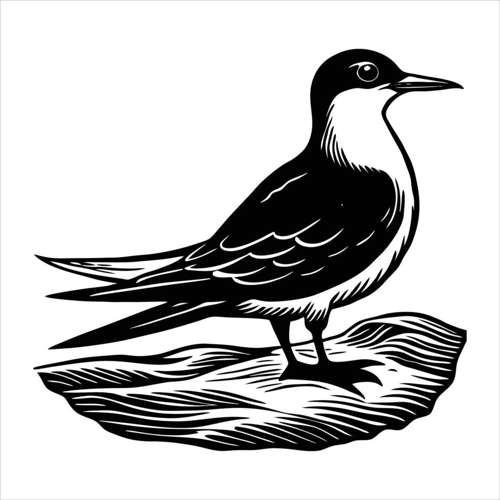 Tern Bird black vector