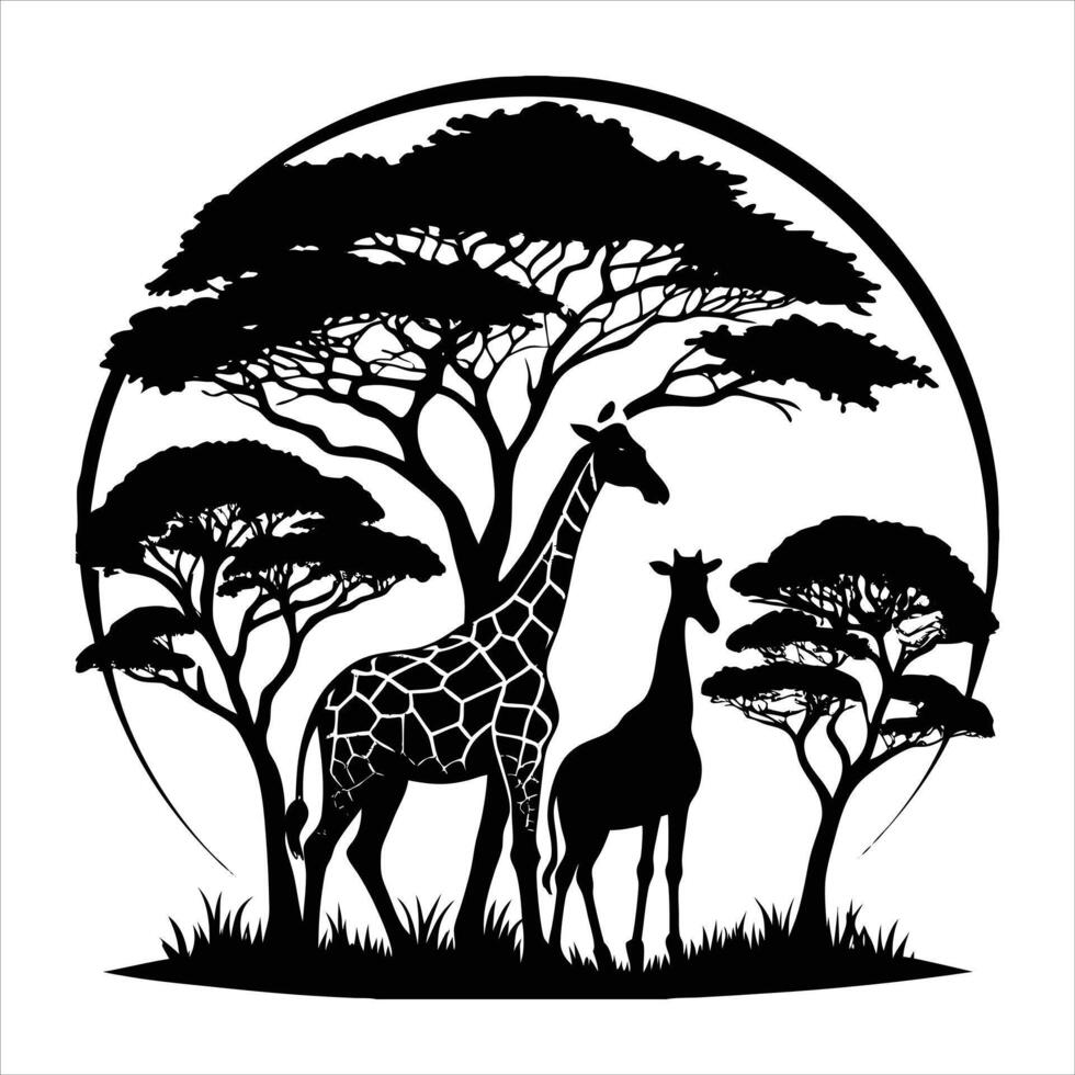 Giraffe Acacia Tree vector