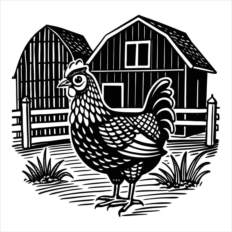 Chicken Standing On Ground vector