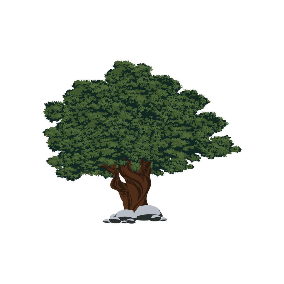 Great Oak tree for logo design vector