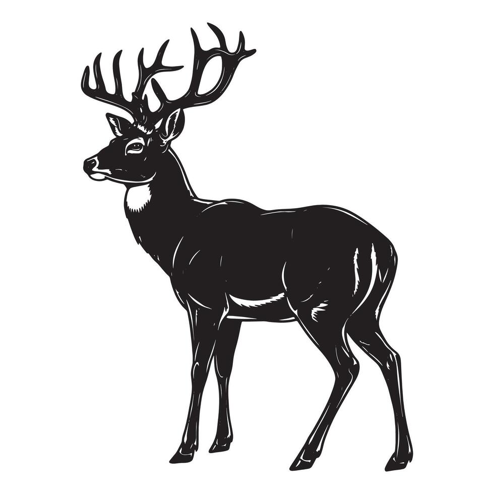 a black and white drawing of a deer vector