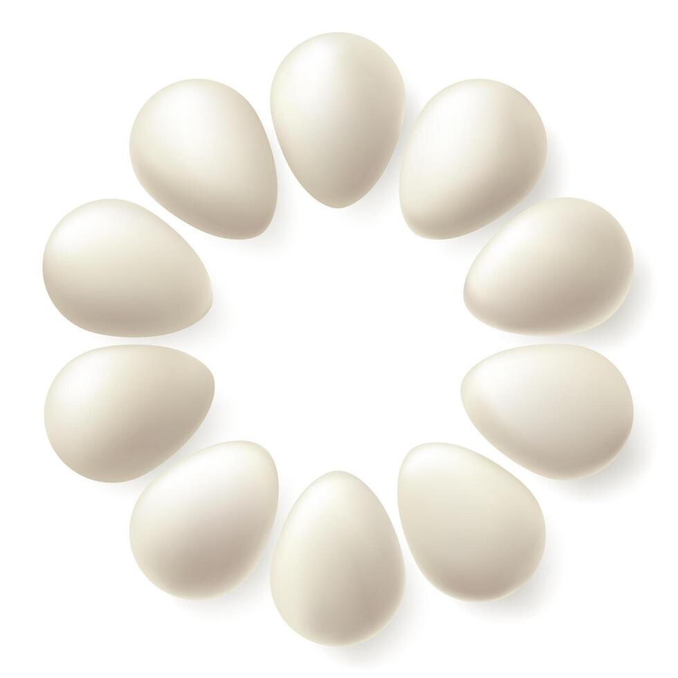 Blank render, white shell duck egg. Easter background , happy spring 3d oval bead concept. Large sphere surface, isolated clean food. Farm protein whole nest illustration. Organic breakfast vector
