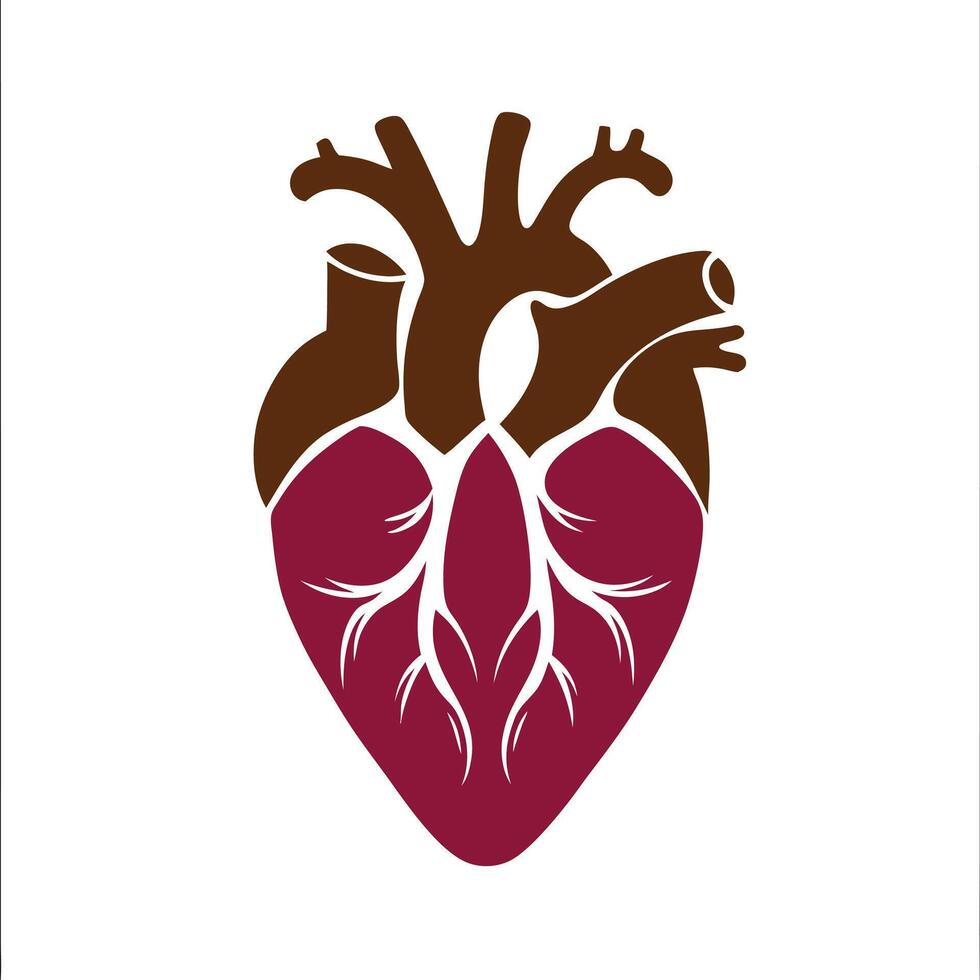 Anatomical coloring heart outline minimalist design icon. vector