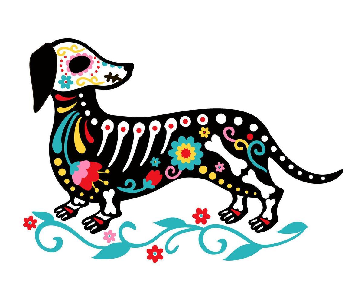 Dog Dia de muertos, Day of the dead. Animal skull and skeleton decorated with colorful flowers. Cute Dog skeleton. Skeleton of a dachshund vector