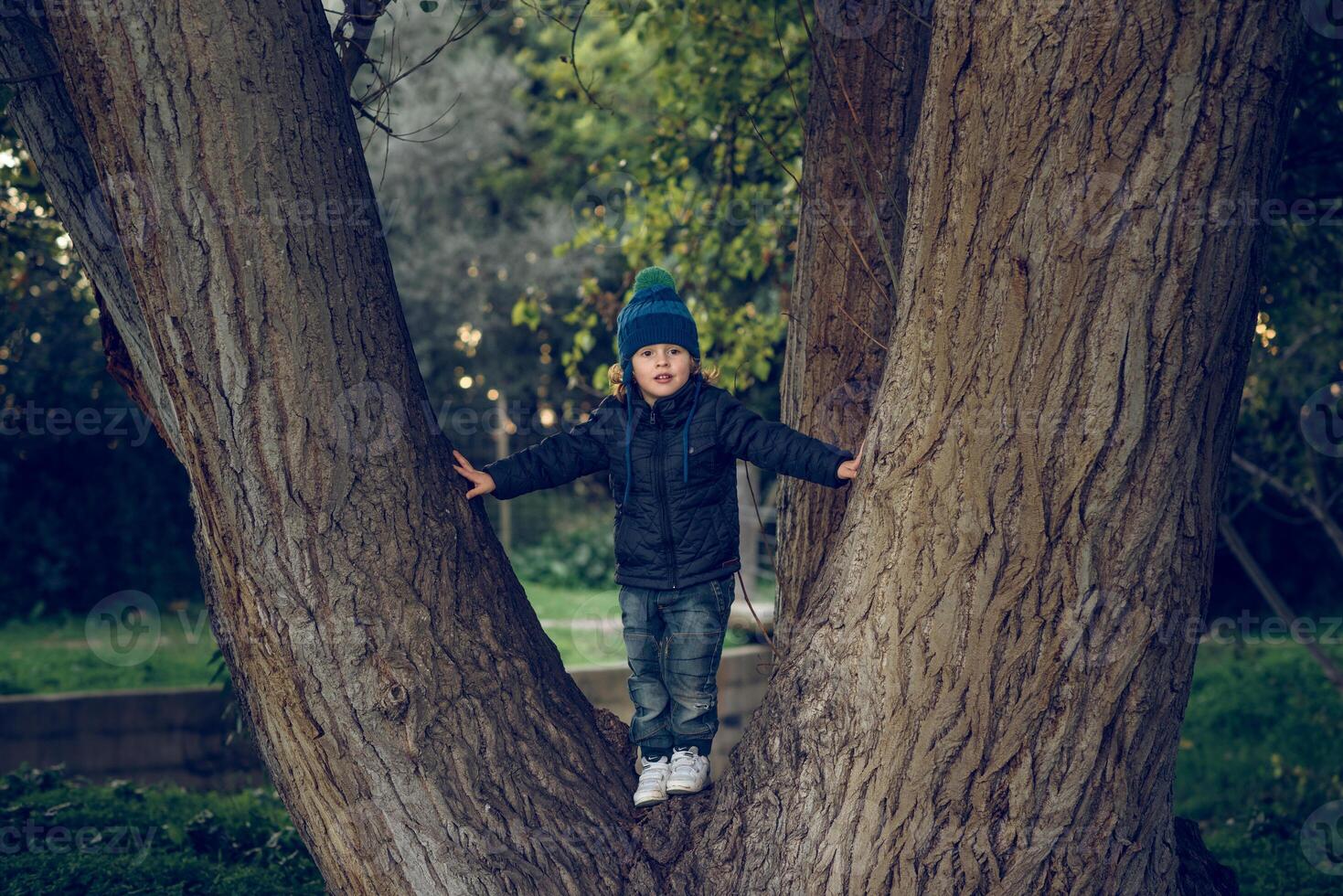 Cute boy standing on tree trunk photo
