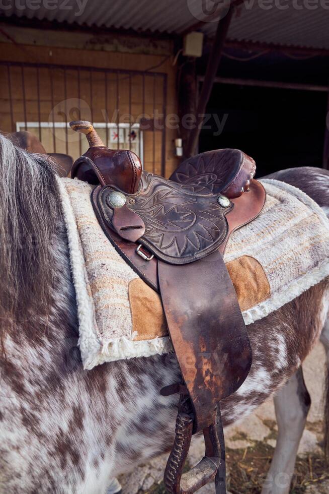 Horseback with saddle photo