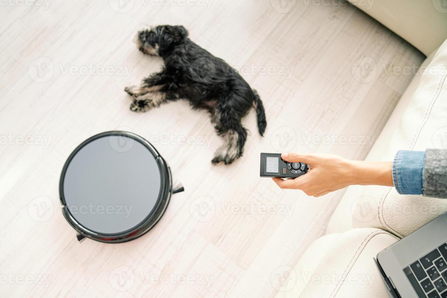 Dog owner using robotic vacuum cleaner with remote control photo