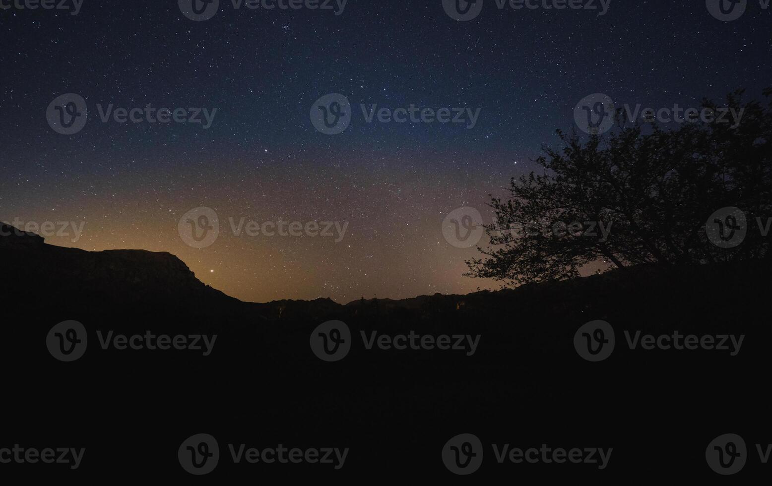Mountain and trees during starry night photo