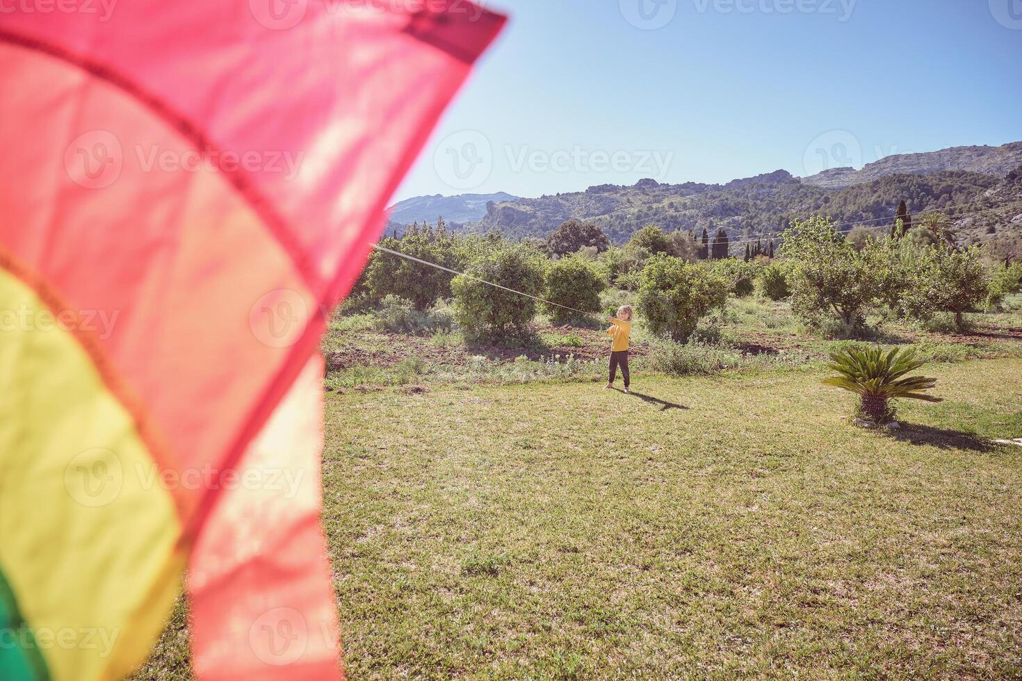 Boy with kite on field photo