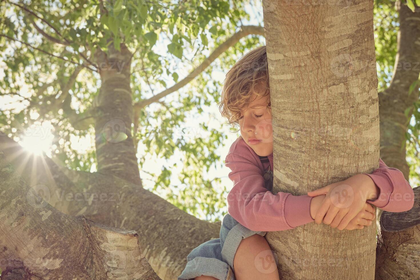 Child sleeping on tree in park photo