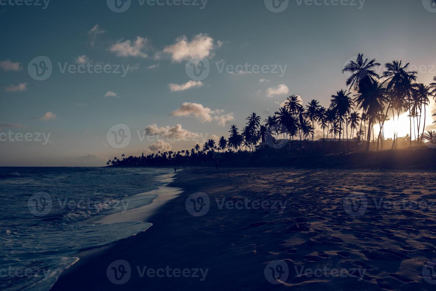 Sea with palms on beach in sunset photo