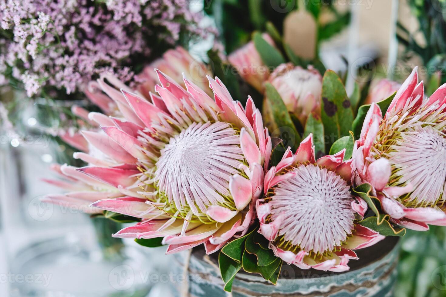 Blooming king proteas in vase photo