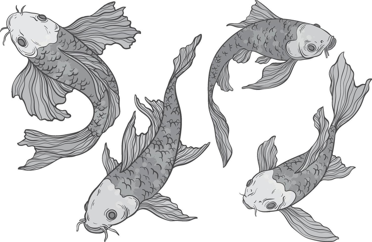 monochrome Koi carp set on white background, Chinese new year, fish for festival on backdrops, line art of koi fish vector