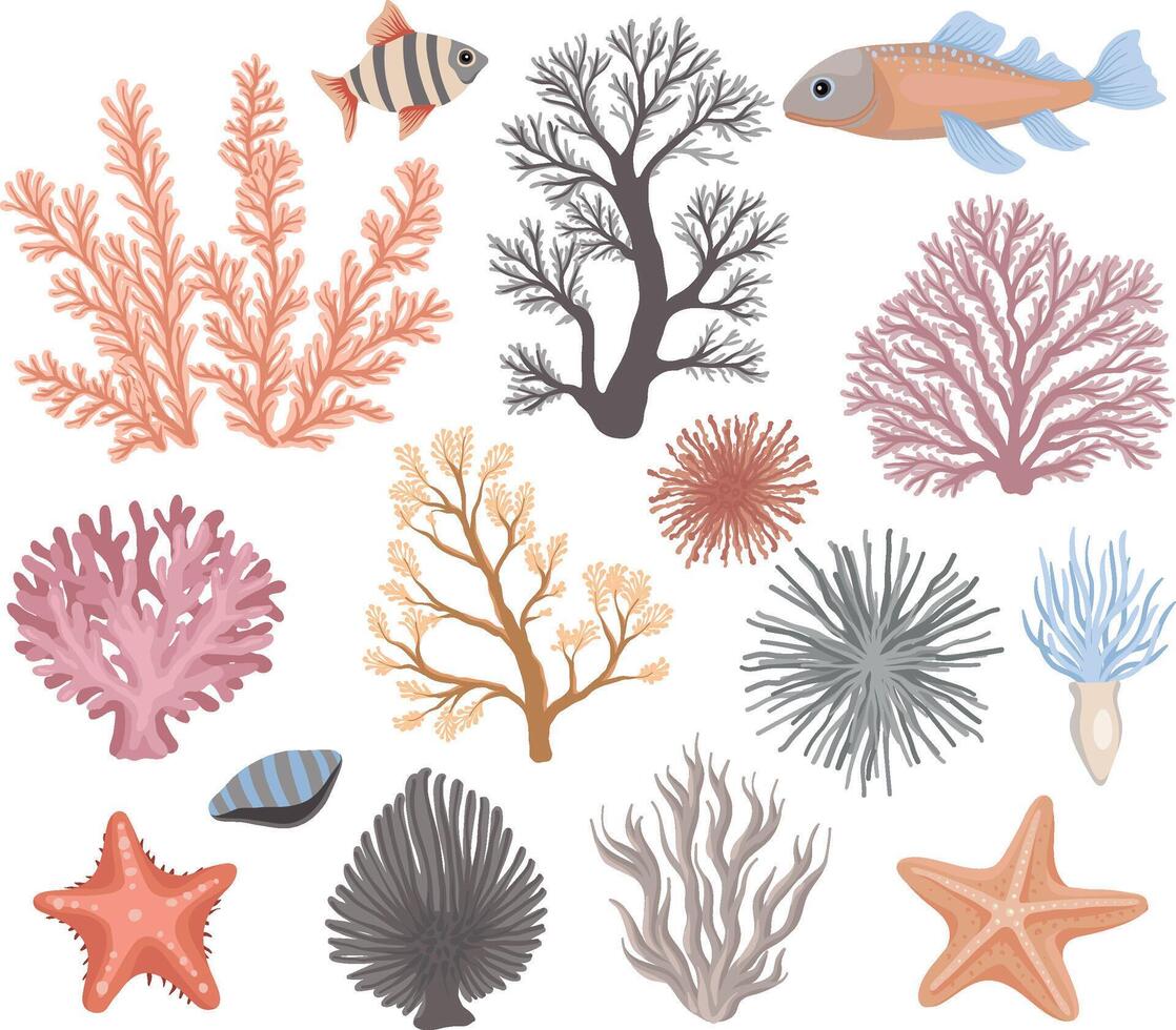 A illustration showcasing a collection of colorful coral, sea plants, fish, starfish, and marine elements in a detailed and artistic underwater theme vector