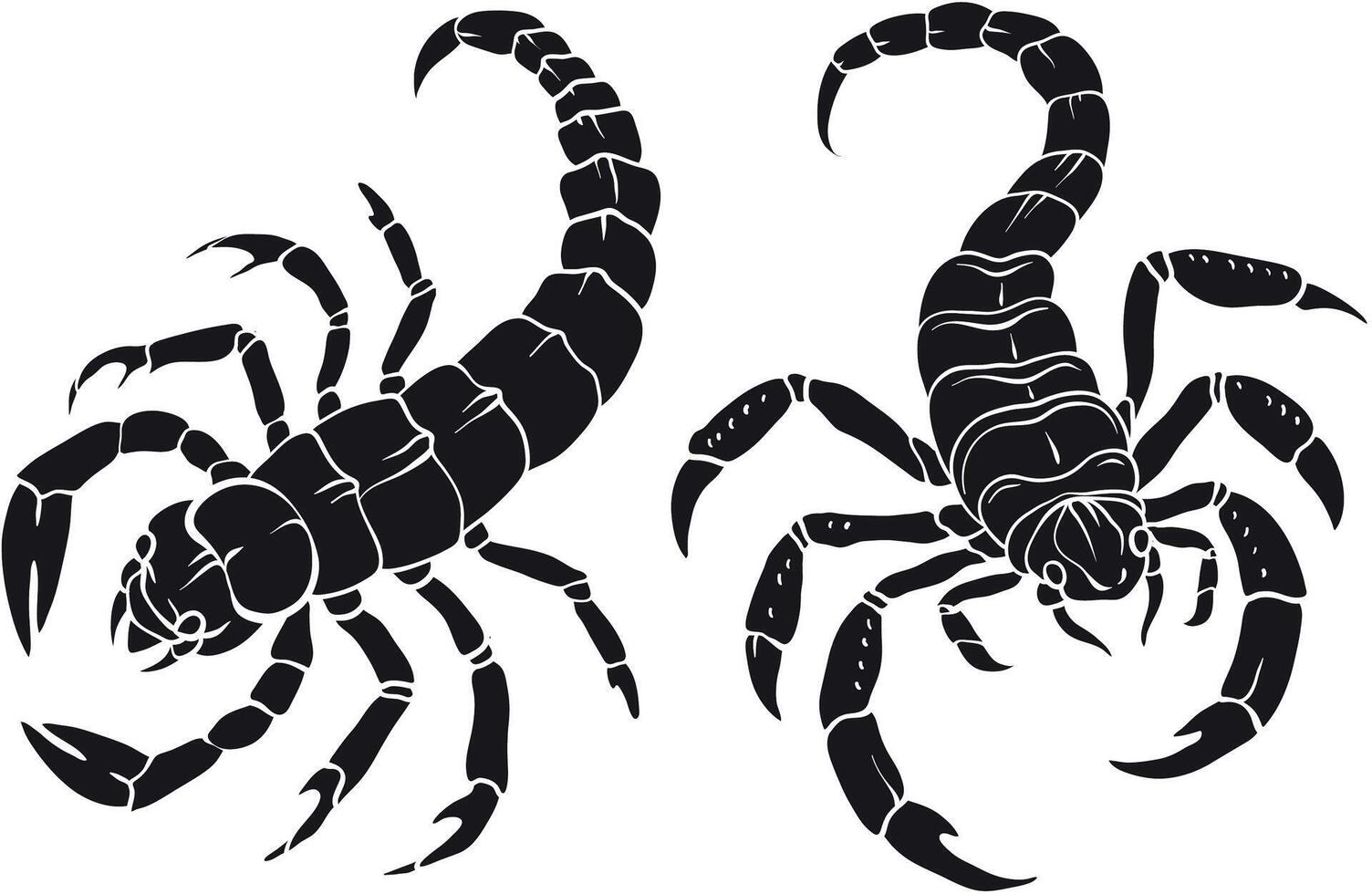Black scorpion silhouette isolated on white, Silhouettes of various types of scorpion. vector