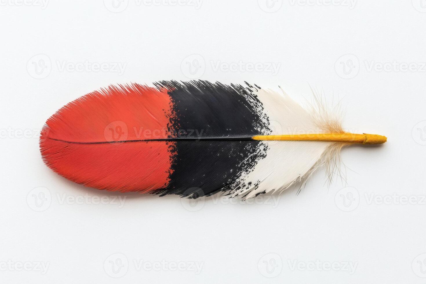 Colorful feather resting on a white background photo