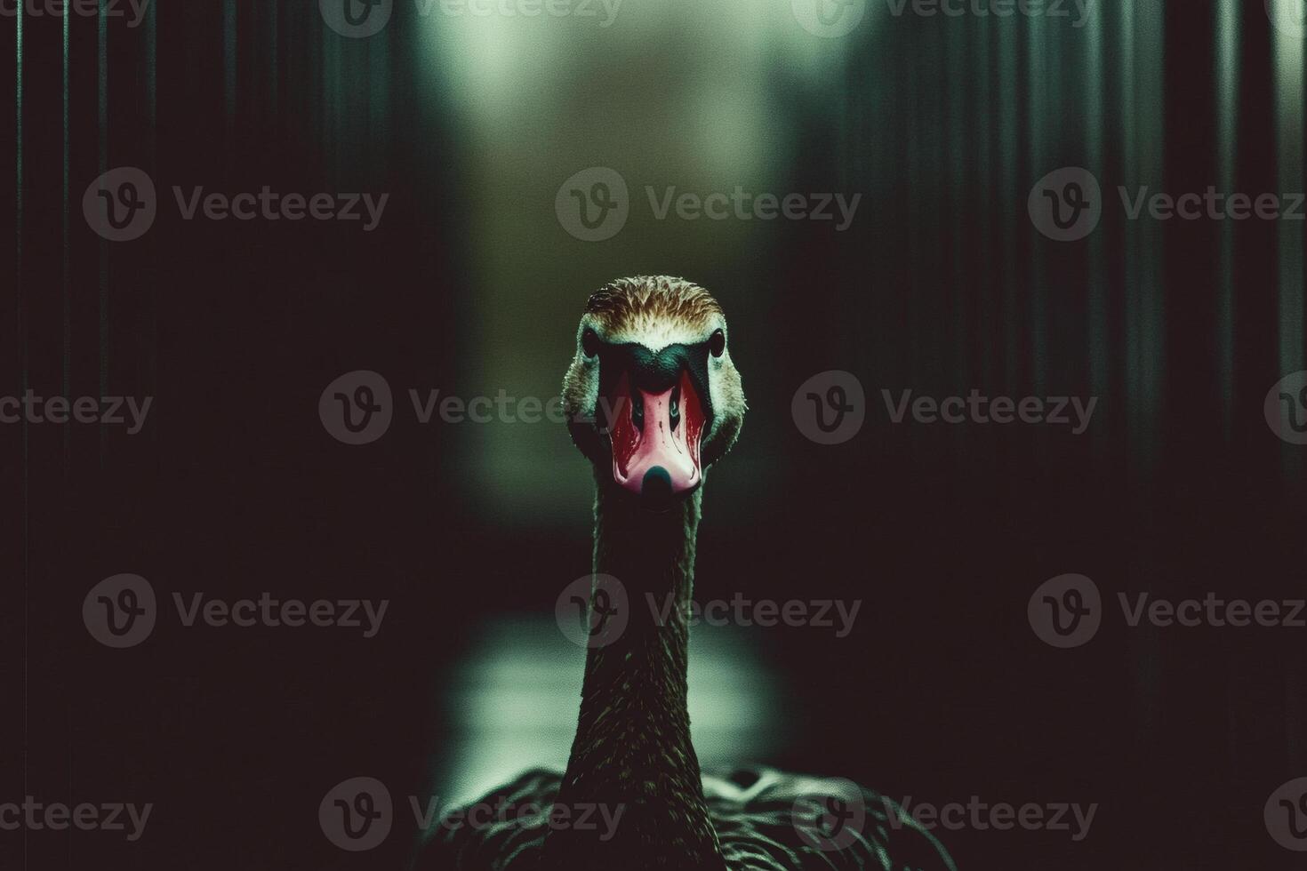 Mysterious duck stands alone in a dimly lit corridor during twilight hours photo