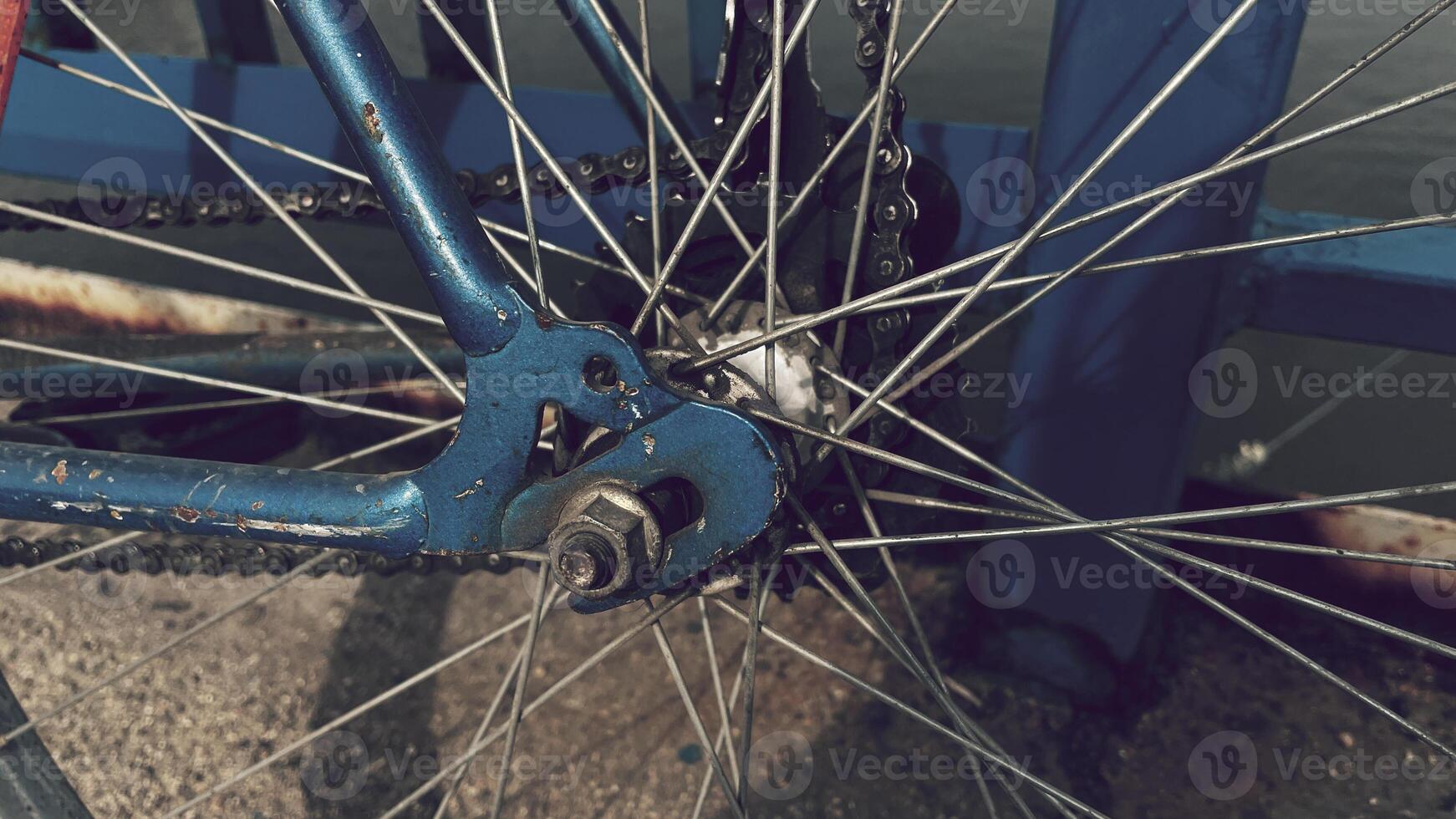 Old bicycle wheel resting near a tranquil waterfront photo
