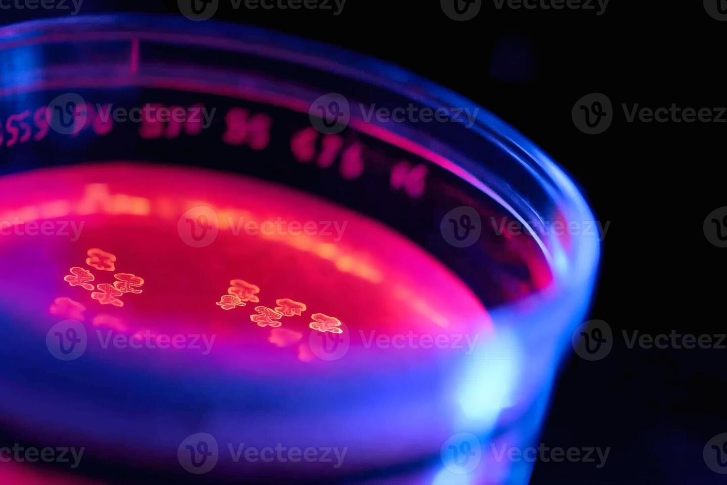 Bright colors enhance a scientific experiment photo