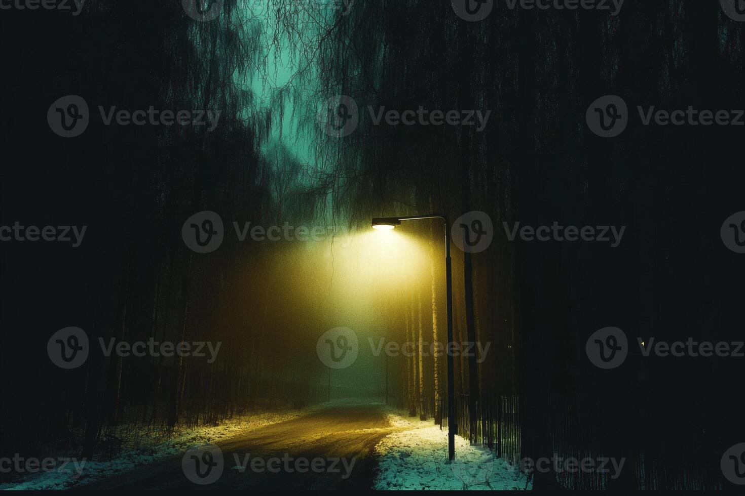 Foggy forest path glows mysteriously at night photo