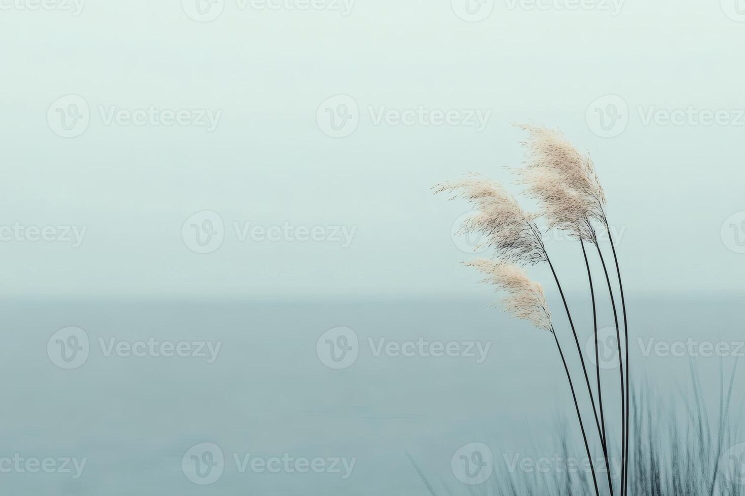 Delicate grasses sway gently by the tranquil sea. photo