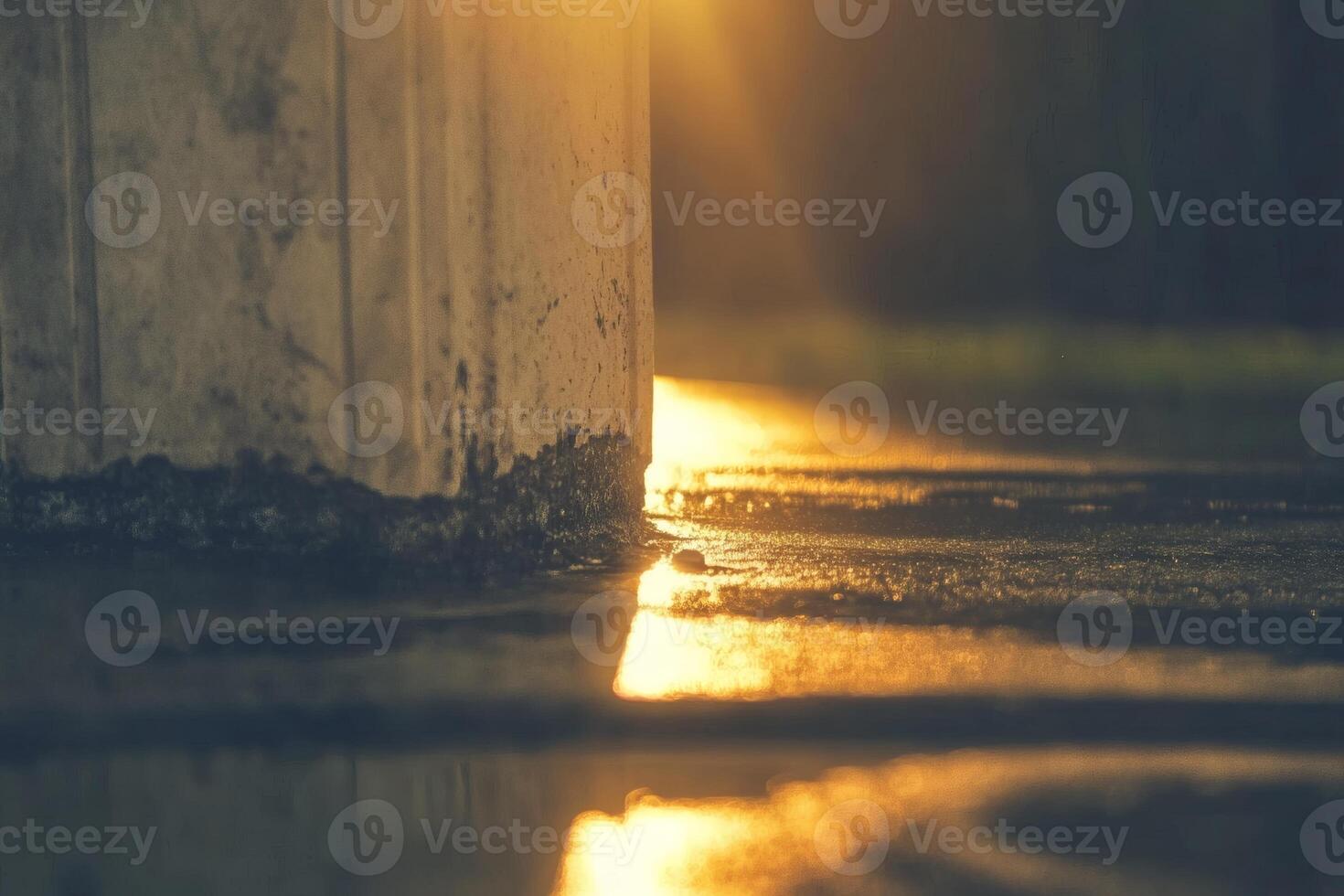 Sunset light reflecting on wet pavement near a riverbank. photo