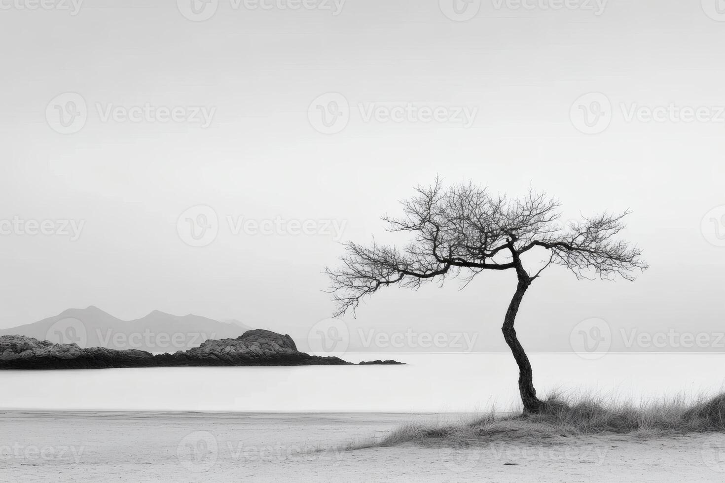 Solitary tree stands proudly against a tranquil sea. photo