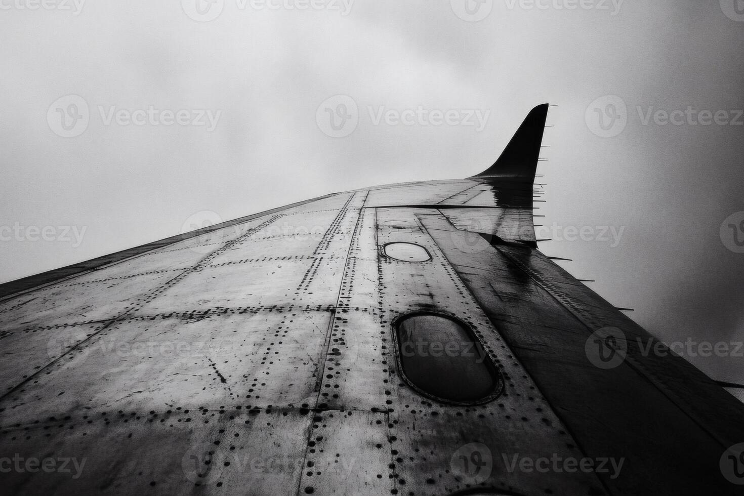 Majestic wing soaring through a moody sky. photo