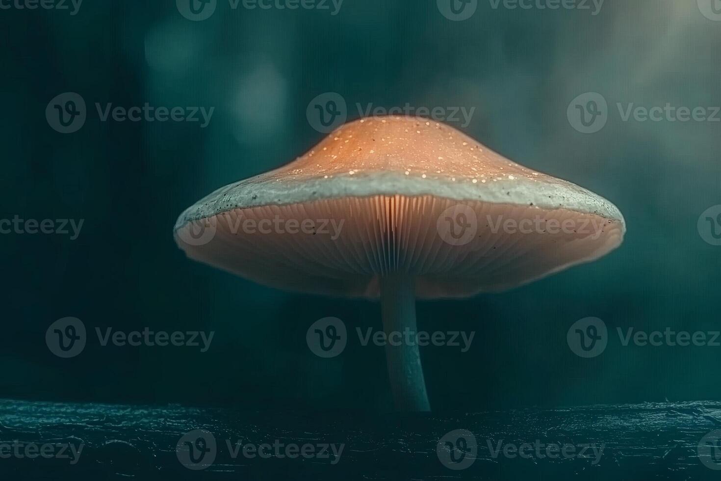 Mushroom glowing softly in the misty forest at dusk. photo