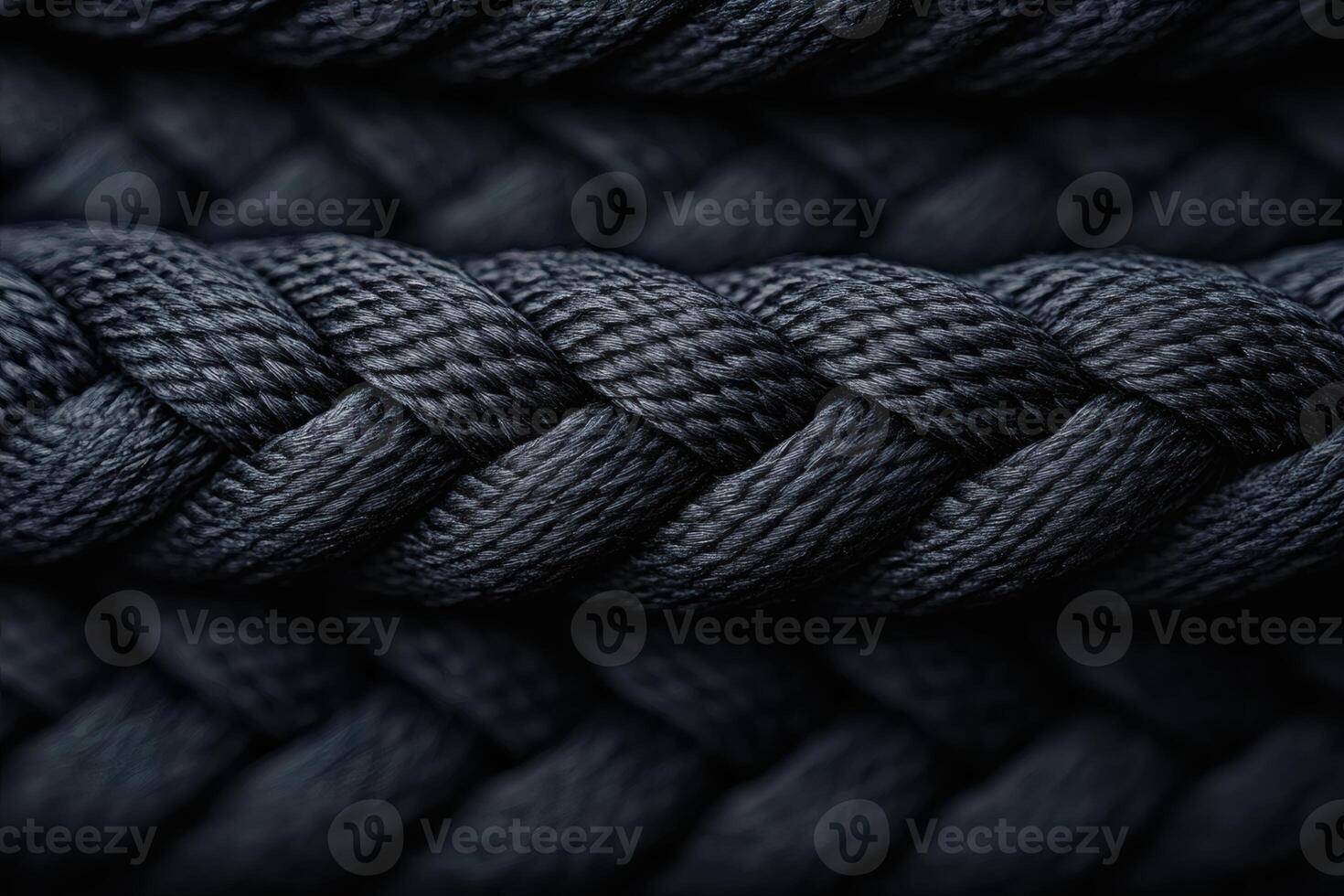 Braided black rope patterns showcase skilled craftsmanship photo