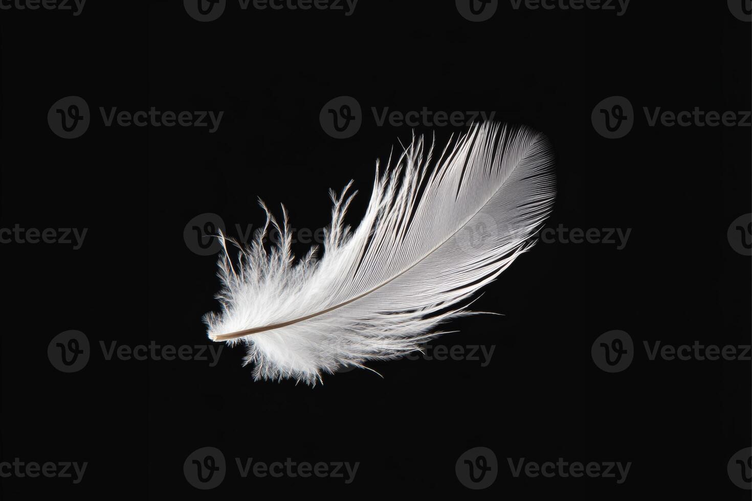 Delicate white feather floats gracefully against darkness. photo
