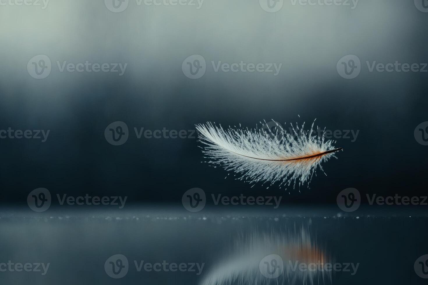 Delicate feather floats gracefully on a reflective surface. photo